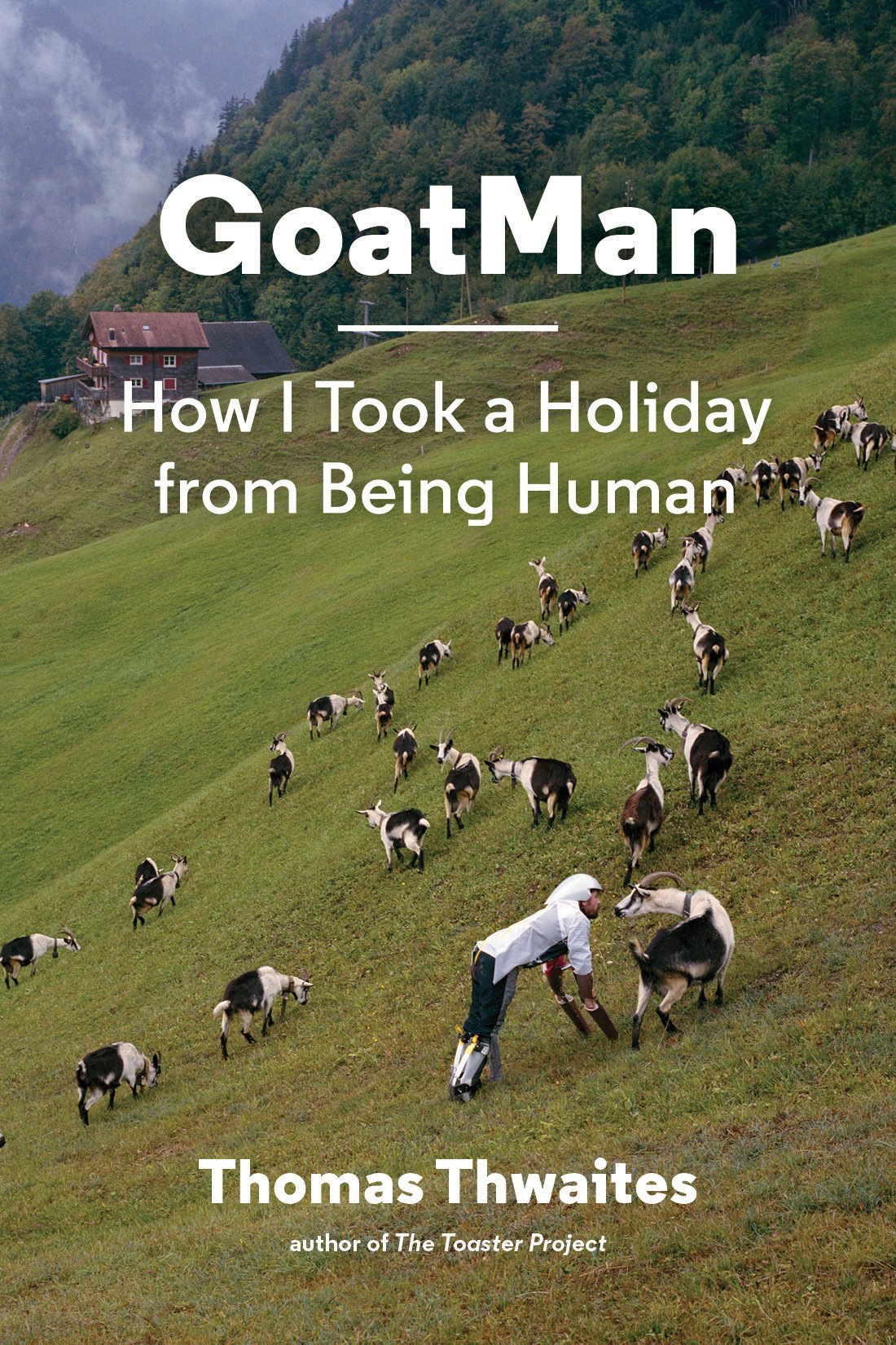 Man wearing goat prosthetics walks among a herd of goats on a Swiss mountain meadow